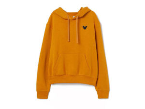 Stainless Steel Freing